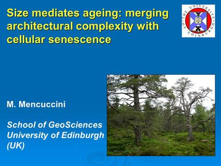 Size mediates ageing: merging architectural complexity with cellular senescence M. Mencuccini School of GeoSciences University of Edinburgh (UK)