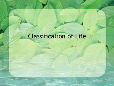 Classification of Life. Why Classify? There are more than 2 ½ Million species of organisms on earth – and more to be discovered! When you go into the.