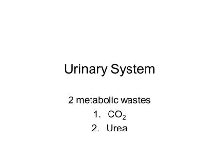 Urinary System 2 metabolic wastes 1.CO 2 2.Urea. Urea Contains Nitrogen (N) wastes given off by cells. Nitrogen wastes are toxic Liver collects these.