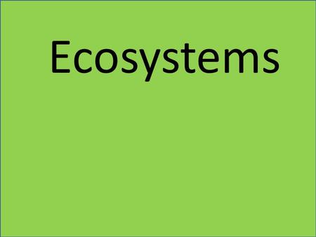 Ecosystems. What makes areas of the world different from each other?