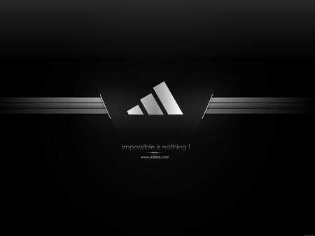 INTRODUCTION Adidas is a multinational sporting goods company, headquartered in Herzogenaurach, Germany. It is located within the textile industry.