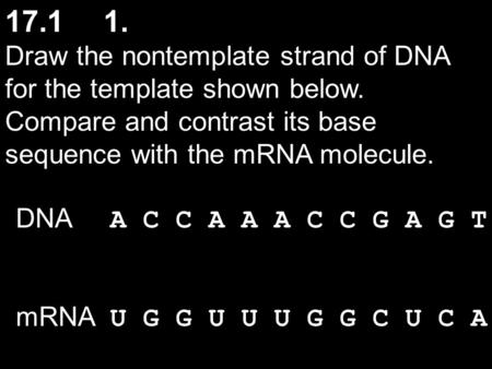 Draw the nontemplate strand of DNA for the template shown below