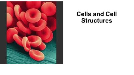 Cells and Cell Structures. “Cell” Name means “small room” Basic structural, functional and biological unit of all KNOWN living organisms Smallest unit.
