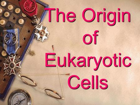 The Origin of Eukaryotic Cells  With lots of perplexities and guesses, researchers did many experiments to bring it to light.