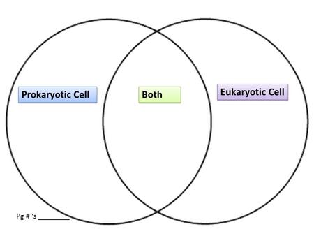 Eukaryotic Cell Prokaryotic Cell Both Pg # ‘s ________.