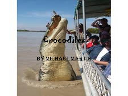 Crocodiles By Michael Martin. Adaptations Physical traits-Crocodiles have plated armor made in its skin.it is green with sharp teeth They can run up to.