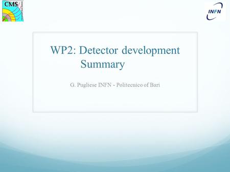 WP2: Detector development Summary G. Pugliese INFN - Politecnico of Bari.