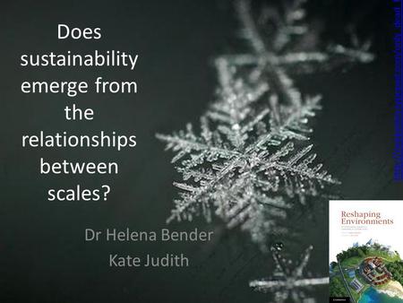 Does sustainability emerge from the relationships between scales? Dr Helena Bender.