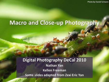 Macro and Close-up Photography Digital Photography DeCal 2010 Nathan Yan Kellen Freeman Some slides adapted from Zexi Eric Yan Photo by Daniel Schwen.
