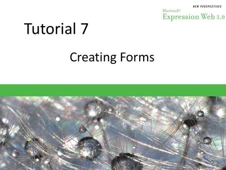 Tutorial 7 Creating Forms. Objectives Session 7.1 – Create an HTML form – Insert fields for text – Add labels for form elements – Create radio buttons.
