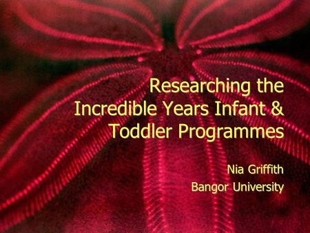 Researching the Incredible Years Infant & Toddler Programmes Nia Griffith Bangor University Nia Griffith Bangor University.