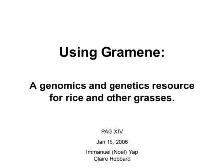 Using Gramene: A genomics and genetics resource for rice and other grasses. PAG XIV Jan 15, 2006 Immanuel (Noel) Yap Claire Hebbard.