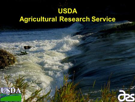 USDA Agricultural Research Service. 16% of the $9 trillion gross domestic product. 8% of U.S. exports. 17% of employment. < 2% U.S. workforce on farms.