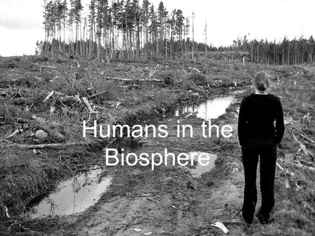 Humans in the Biosphere. A Changing Landscape * Human activities change the flow of energy in an ecosystem and can reduce the ability of ecosystems to.
