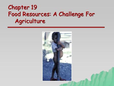 Chapter 19 Food Resources: A Challenge For Agriculture.