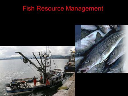 Fish Resource Management About 80% of fish harvested come from oceans. Why is this obvious?  Most of the world’s water is ocean, therefore it would.