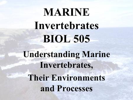 MARINE Invertebrates BIOL 505 Understanding Marine Invertebrates, Their Environments and Processes.