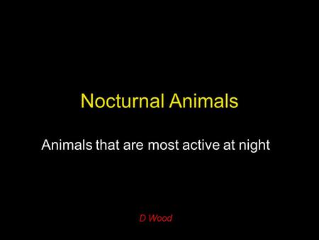 Animals that are most active at night D Wood