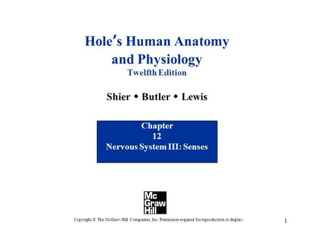 1 Hole’s Human Anatomy and Physiology Twelfth Edition Shier  Butler  Lewis Chapter 12 Nervous System III: Senses Copyright © The McGraw-Hill Companies,