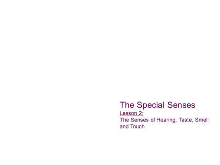 The Special Senses Lesson 2: