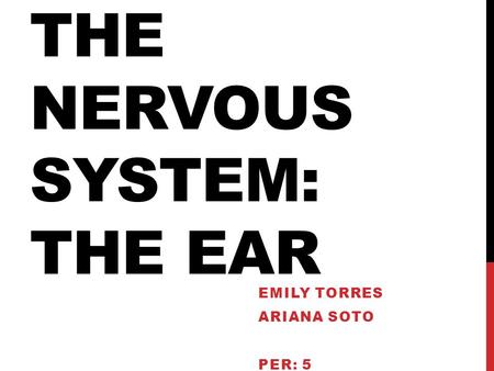 The nervous system: the ear