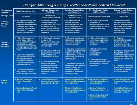 Northwestern Medicine Strategic Goals Nursing Strategic Objectives Deliver Exceptional Care Advance Science and Knowledge Develop People, Culture and Resources.