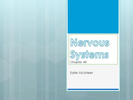 Kate McAteer. Organization of Nervous Systems 48.1  Invertebrate nervous systems range in complexity from nerve nets to brains and nerve cords  Vertebrates.