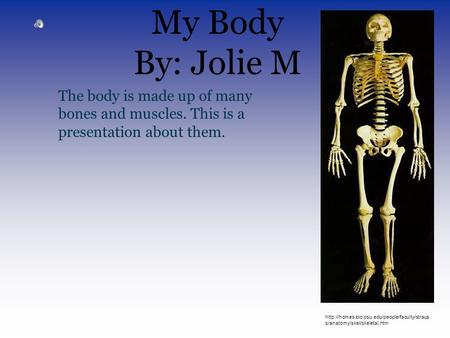 My Body By: Jolie M The body is made up of many bones and muscles. This is a presentation about them.  s/anatomy/skel/skeletal.htm.