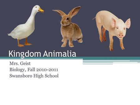 Kingdom Animalia Mrs. Geist Biology, Fall 2010-2011 Swansboro High School.