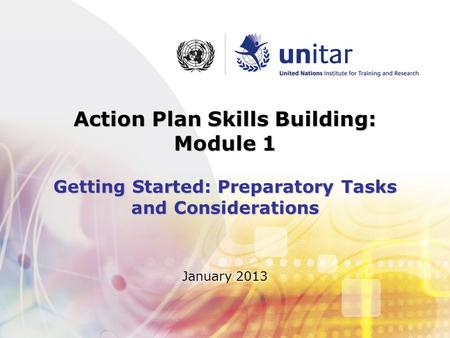 Action Plan Skills Building: Module 1 Getting Started: Preparatory Tasks and Considerations January 2013.