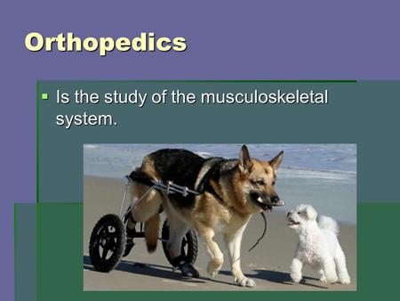 Orthopedics  Is the study of the musculoskeletal system.