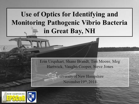 Use of Optics for Identifying and Monitoring Pathogenic Vibrio Bacteria in Great Bay, NH Erin Urquhart, Shane Brandt, Tim Moore, Meg Hartwick, Vaughn Cooper,