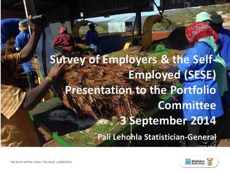 STATS SA THE SOUTH AFRICA I KNOW, THE HOME I UNDERSTAND Survey of Employers & the Self- Employed (SESE) Presentation to the Portfolio Committee 3 September.