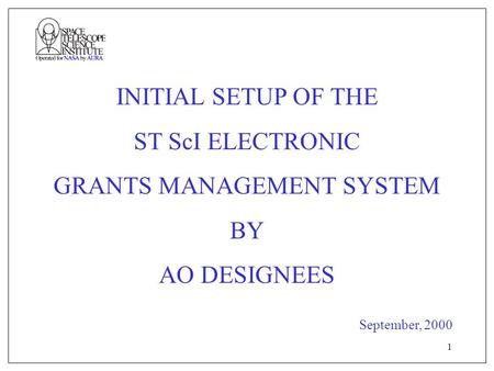 1 INITIAL SETUP OF THE ST ScI ELECTRONIC GRANTS MANAGEMENT SYSTEM BY AO DESIGNEES September, 2000.