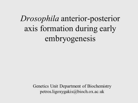 Drosophila anterior-posterior axis formation during early embryogenesis Genetics Unit Department of Biochemistry