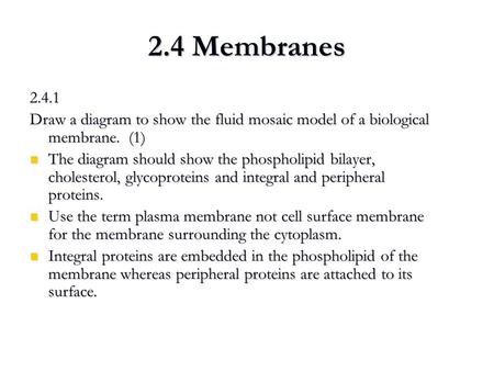 2.4 Membranes 2.4.1 Draw a diagram to show the fluid mosaic model of a biological membrane. 	(1) The diagram should show the phospholipid bilayer, cholesterol,