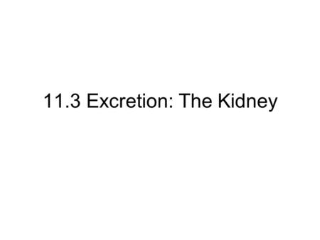 11.3 Excretion: The Kidney. 11.3.1 Define Excretion Metabolic reactions generate waste products. Waste products need to be mitigated and eliminated. This.