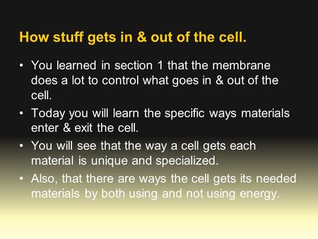How stuff gets in & out of the cell.