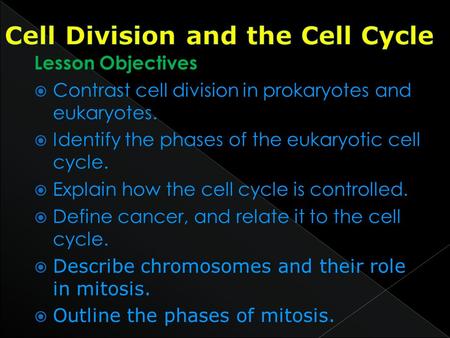 Lesson Objectives  Contrast cell division in prokaryotes and eukaryotes.  Identify the phases of the eukaryotic cell cycle.  Explain how the cell cycle.