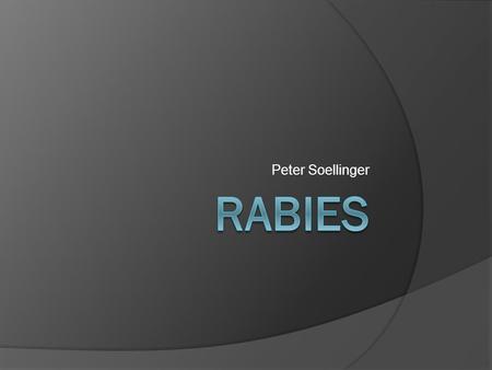 Peter Soellinger Rabies.
