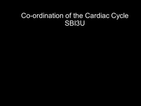 Co-ordination of the Cardiac Cycle SBI3U. The heart is made of cardiac muscle. When the cells receive an electrical impulse they contract - causing a.