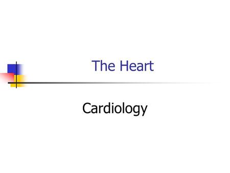 The Heart Cardiology. Physical Characteristics Situated between the lungs in the mediastinum About the size of a clenched fist Cone or pyramid shape,