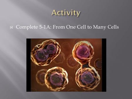 Activity Complete 5-1A: From One Cell to Many Cells.