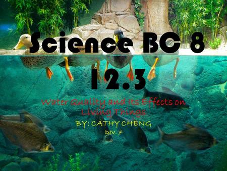 Science BC 8 12.3 Water Quality and Its Effects on Living Things BY: CATHY CHENG DIV. 7.