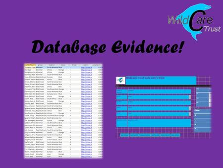 Database Evidence!. Database Evidence Over the course of 4 lessons I completed the database. The database had to contain lots of information about 174.