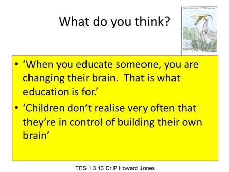 What do you think? ‘When you educate someone, you are changing their brain. That is what education is for.’ ‘Children don’t realise very often that they’re.