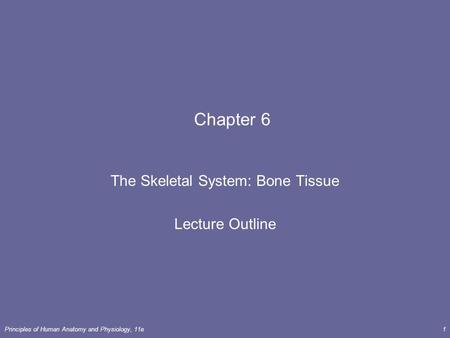 The Skeletal System: Bone Tissue Lecture Outline