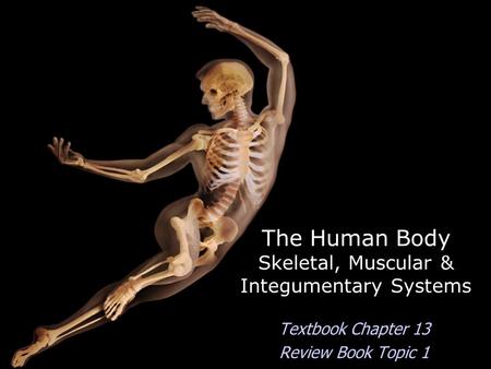The Human Body Skeletal, Muscular & Integumentary Systems