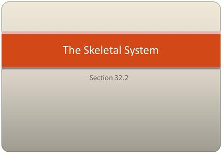 The Skeletal System Section 32.2.