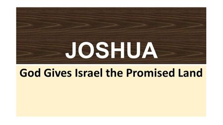 JOSHUA God Gives Israel the Promised Land. JOSHUA: Plot Joshua leads Israel in the Conquest of Canaan (chaps. 1-12) The 12 Tribes divide the land (chaps.